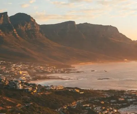 tips for wildlife volunteering in south africa