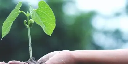 how to avoid greenwashing while traveling