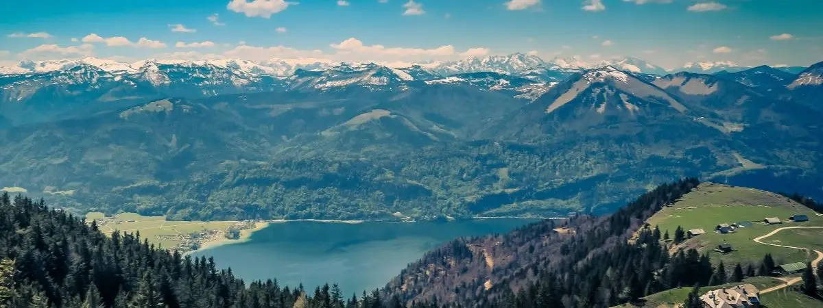 why intern in austria