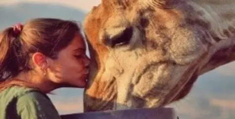 girl kissing a giraffe