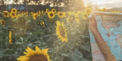 best degrees for travel