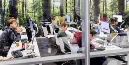 advantages of multidisciplinary curriculum