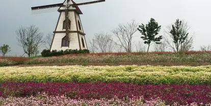 windmill and flowers in Yangzhou, China