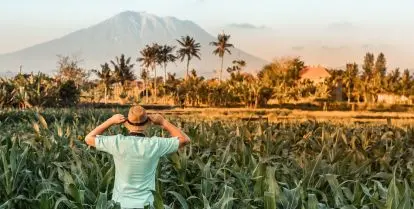 do i need a tefl certificate to teach abroad