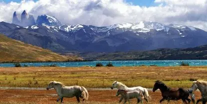 why study abroad in chile