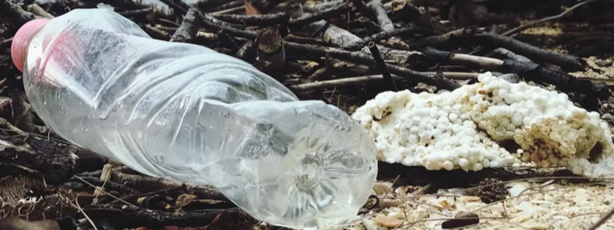 why is sustainable travel important