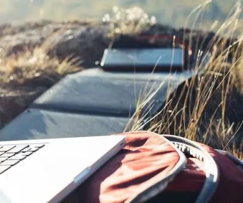 remote volunteer opportunities