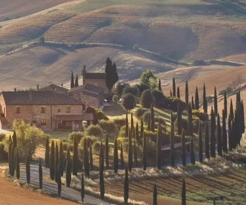 view of Italian countryside at golden hour