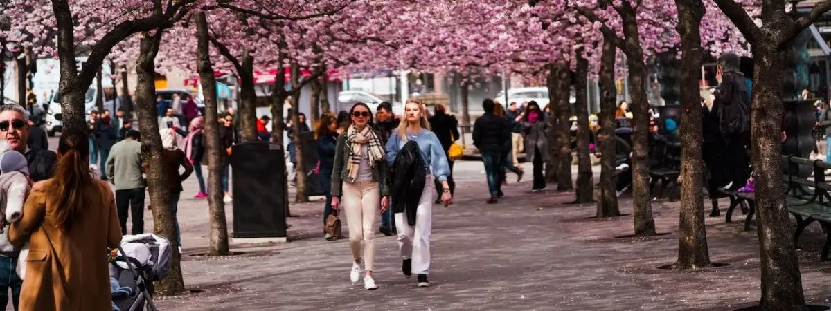 why study abroad in sweden