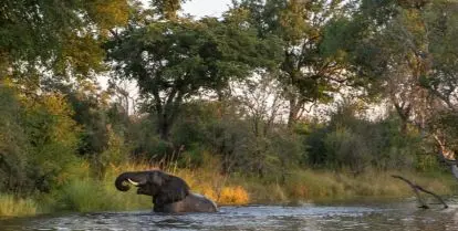 reasons to volunteer in zambia