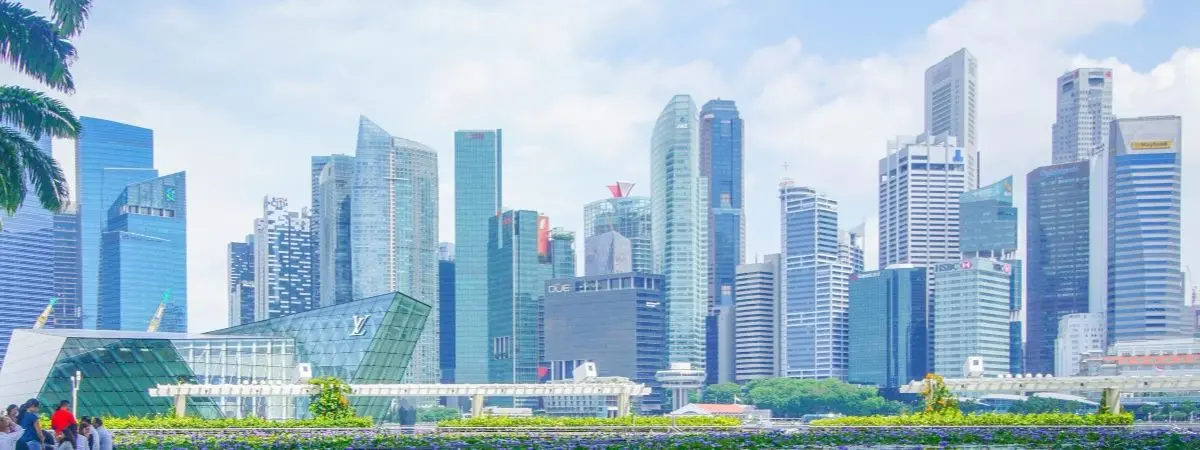 water with purple flowers, palm trees, and skyscrapers and group of people sitting at water’s edge