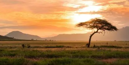 reasons to take a gap year in kenya