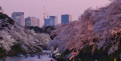 how to work in japan