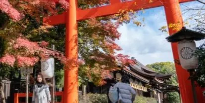 people wearing coats walking near shrine and trees with red leaves