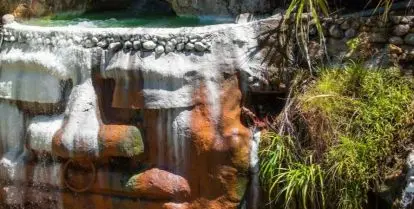 Best Courses to Study in Dominica