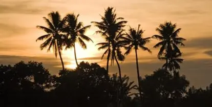 5 Top Benefits of Completing Your Medical Internship in India