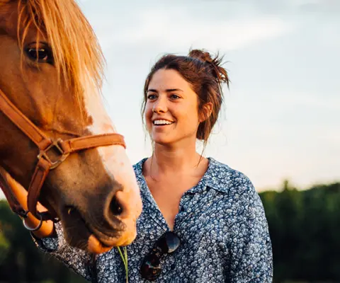 Woman petting a brown horse
