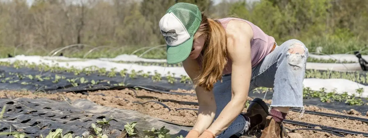 what skills do you gain from volunteering