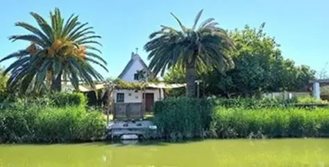 internships in Spain