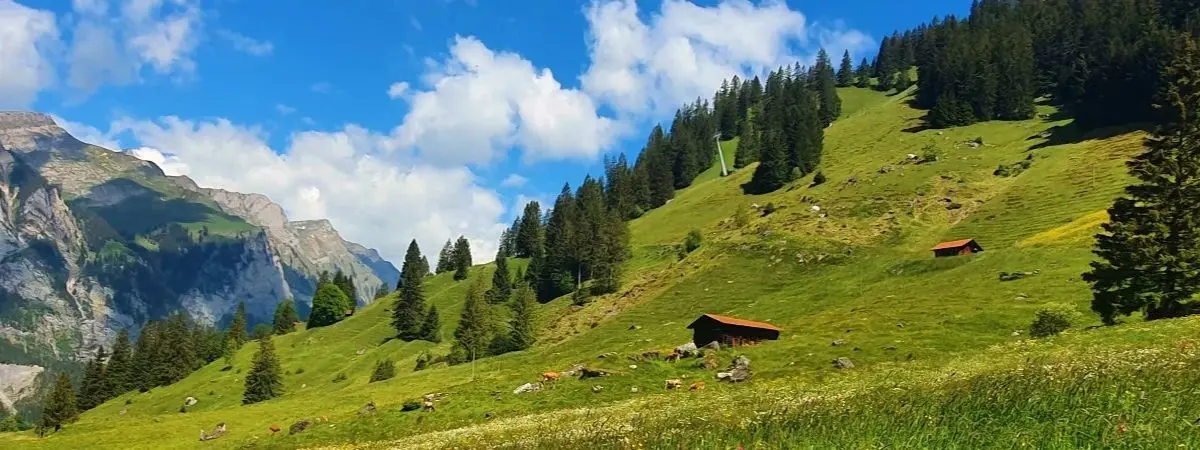 how to teach english in switzerland