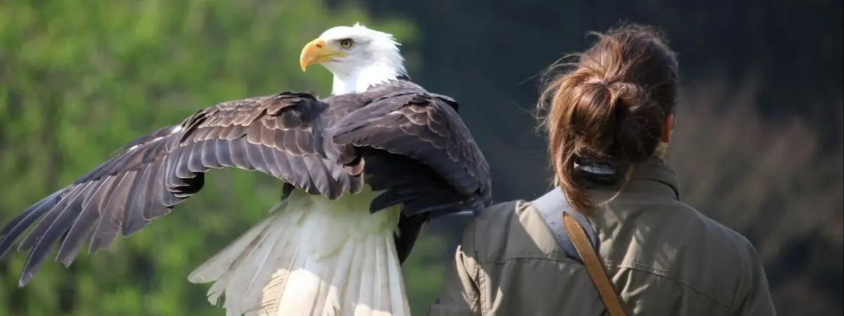 volunteering at Veterinary Clinic