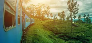 Swift Passport & Visa Services card