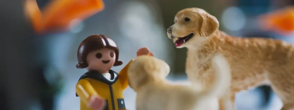 Animal Volunteering for Beginners