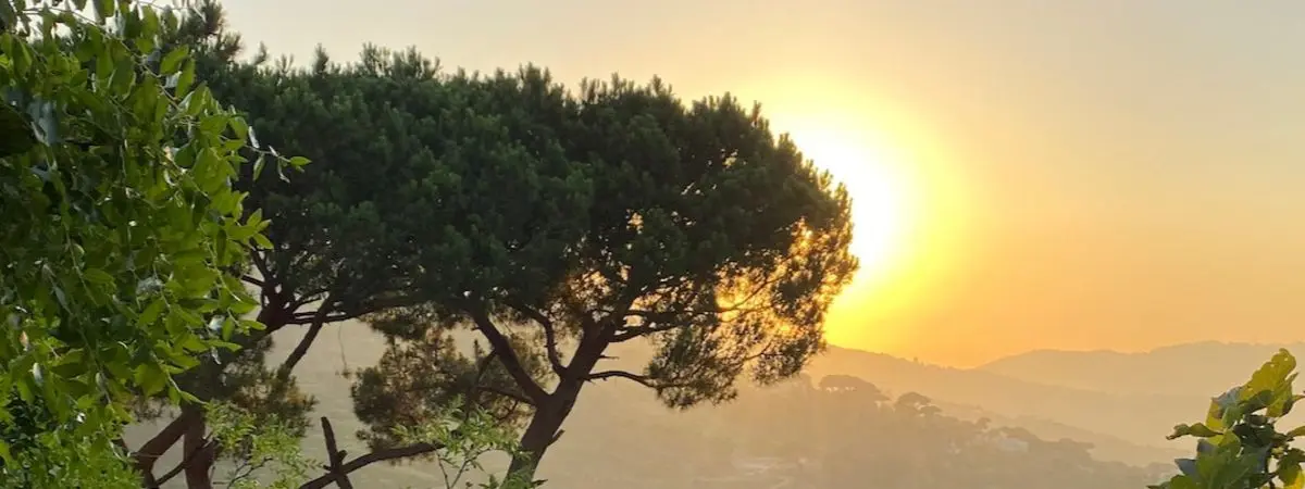 studying abroad in lebanon