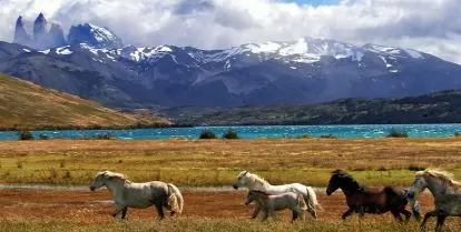 how to study abroad in chile